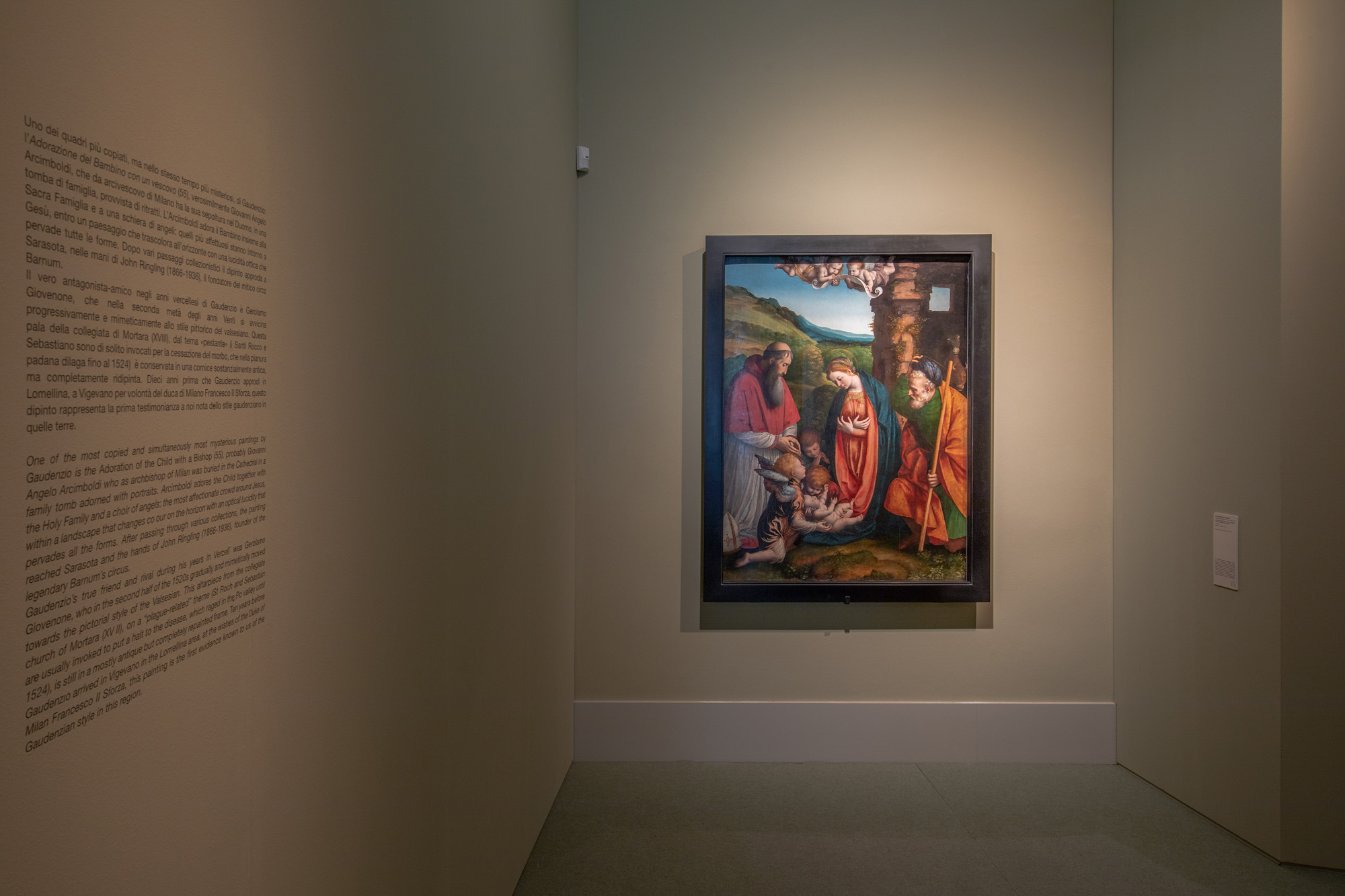 Rinascimento Gaudenzio Ferrari Vercelli Sara Fortin design